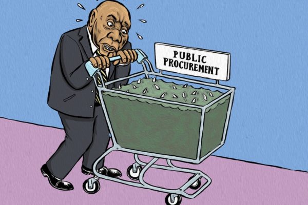 The state procurement system is the major site of corruption in the state, but reforms to the procurement system itself should, we suggest, focus on enabling the state to play its intended role in supporting economic and social development.