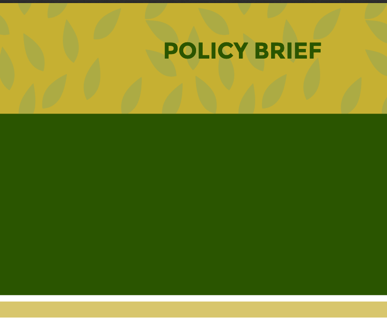 Policy Brief for Improved Prioritisation and M&E