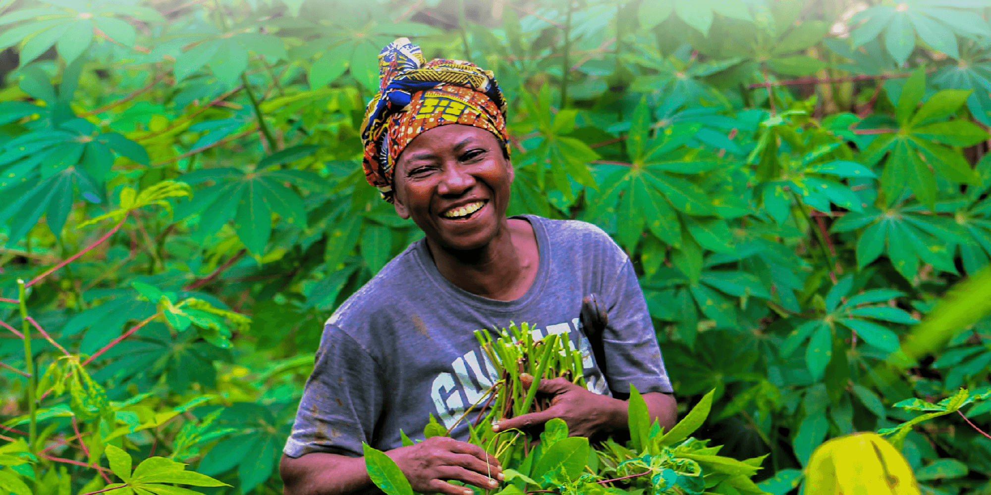 Webinar | Celebrating Women in the Land Sector